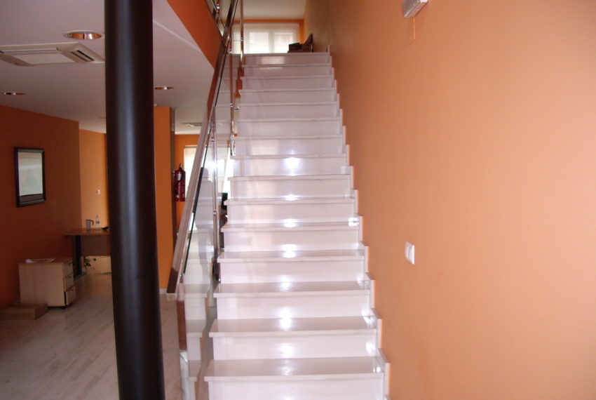 My beautiful picture