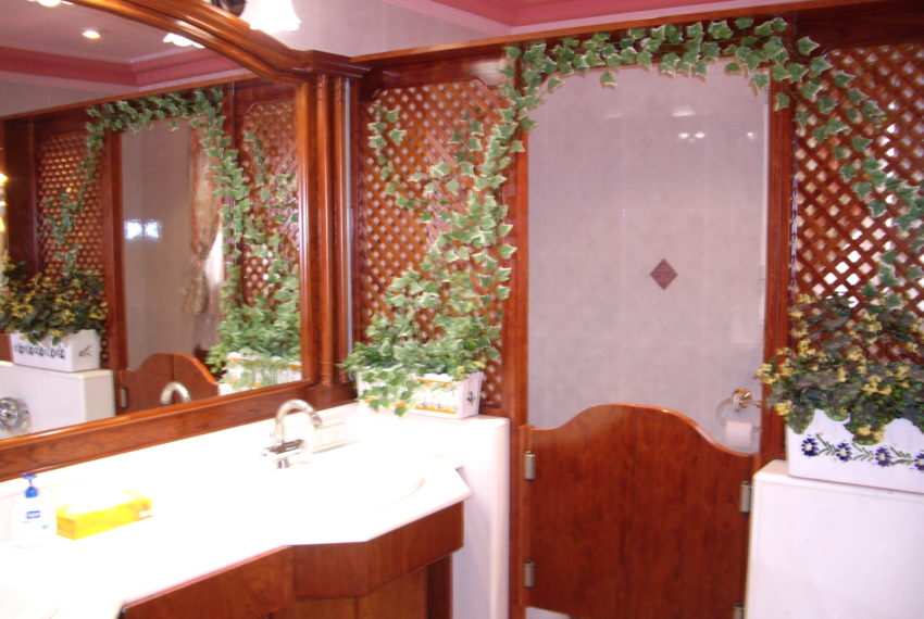 My beautiful picture