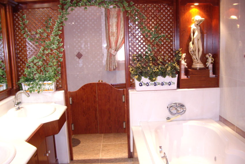 My beautiful picture