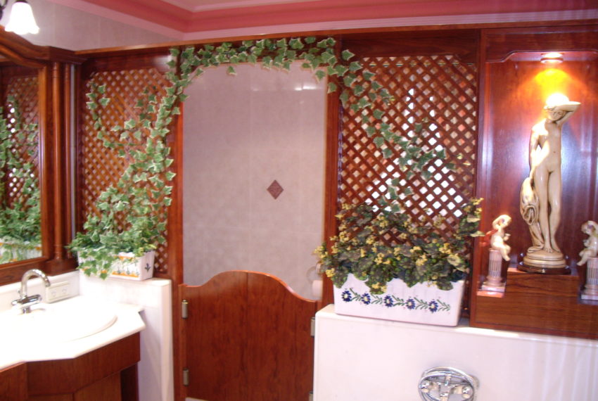 My beautiful picture