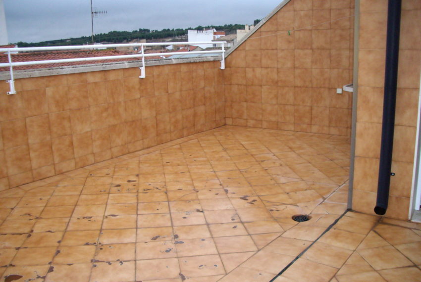 My beautiful picture