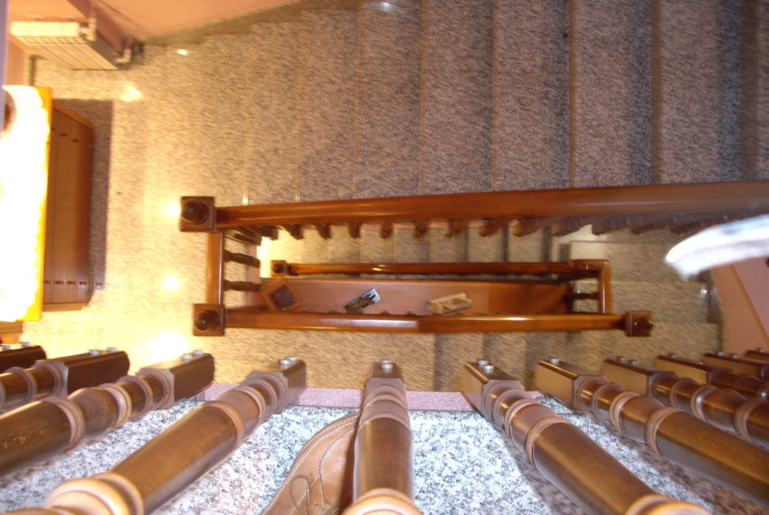 My beautiful picture