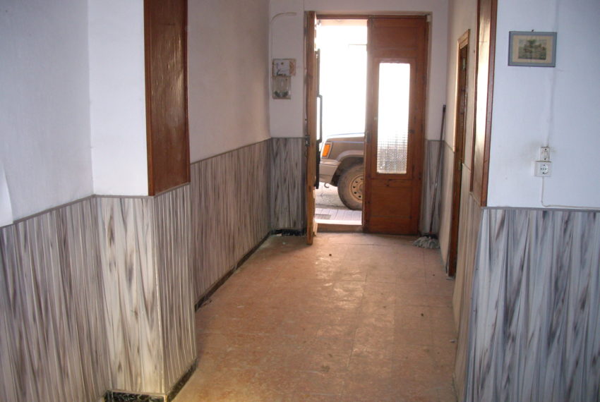 My beautiful picture