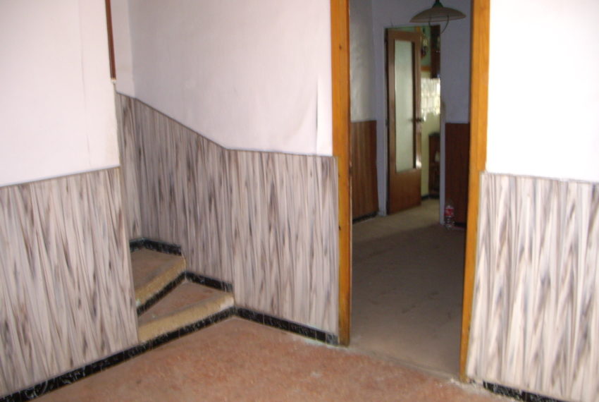 My beautiful picture