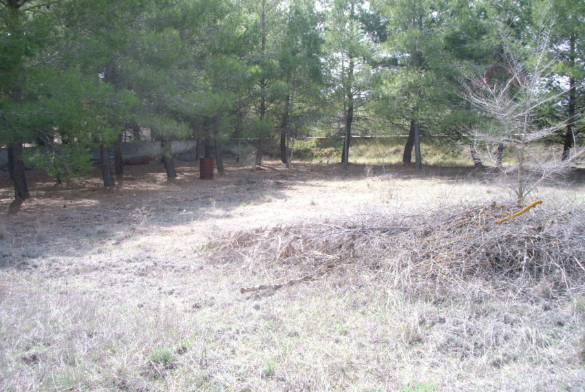 My beautiful picture