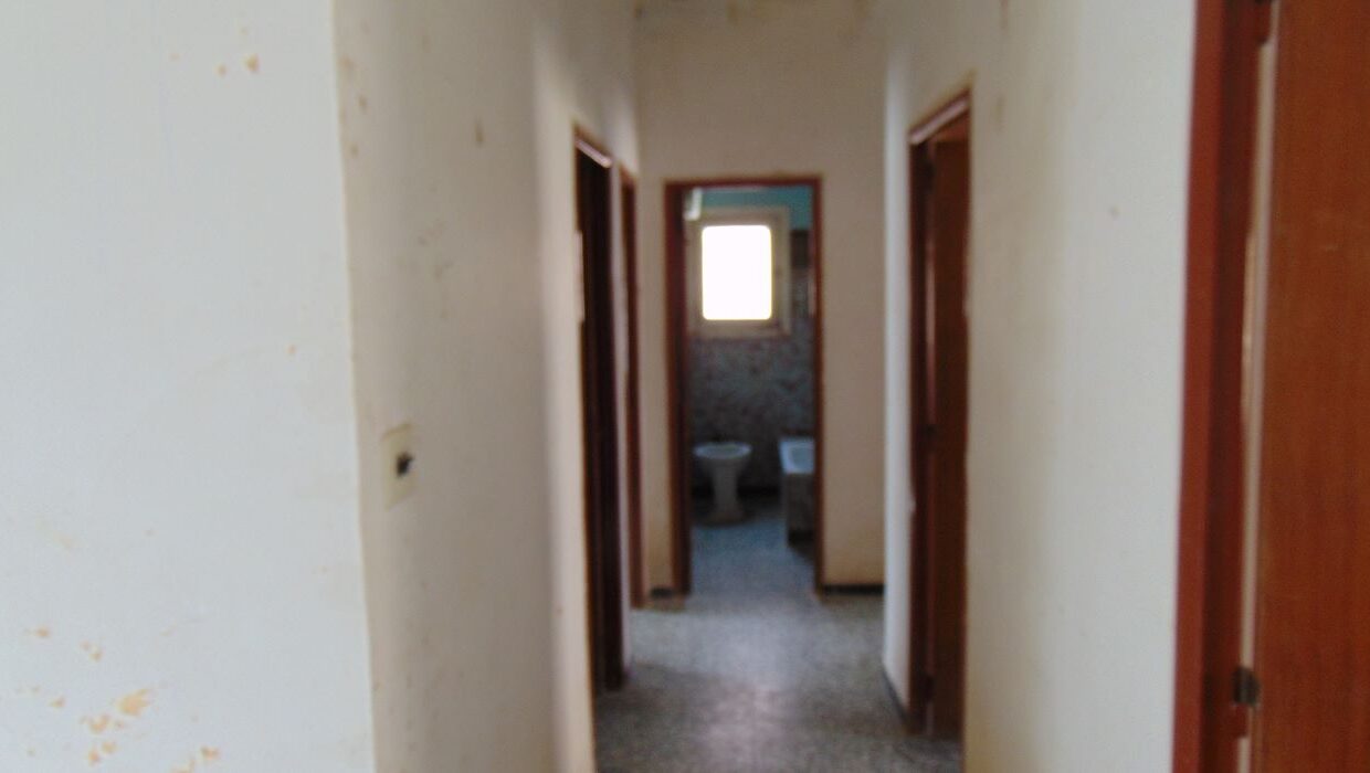 DSC05115