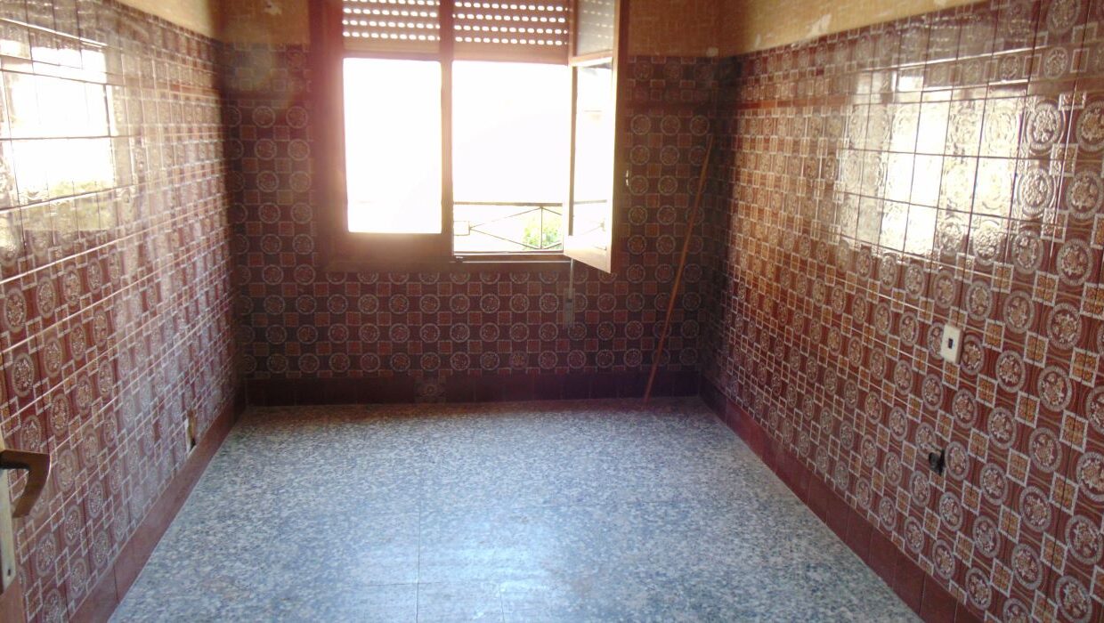 DSC05117