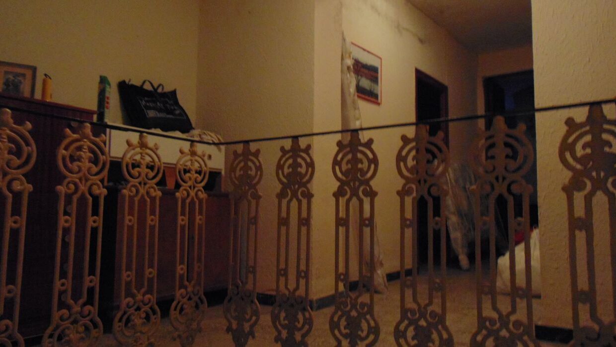 DSC05224