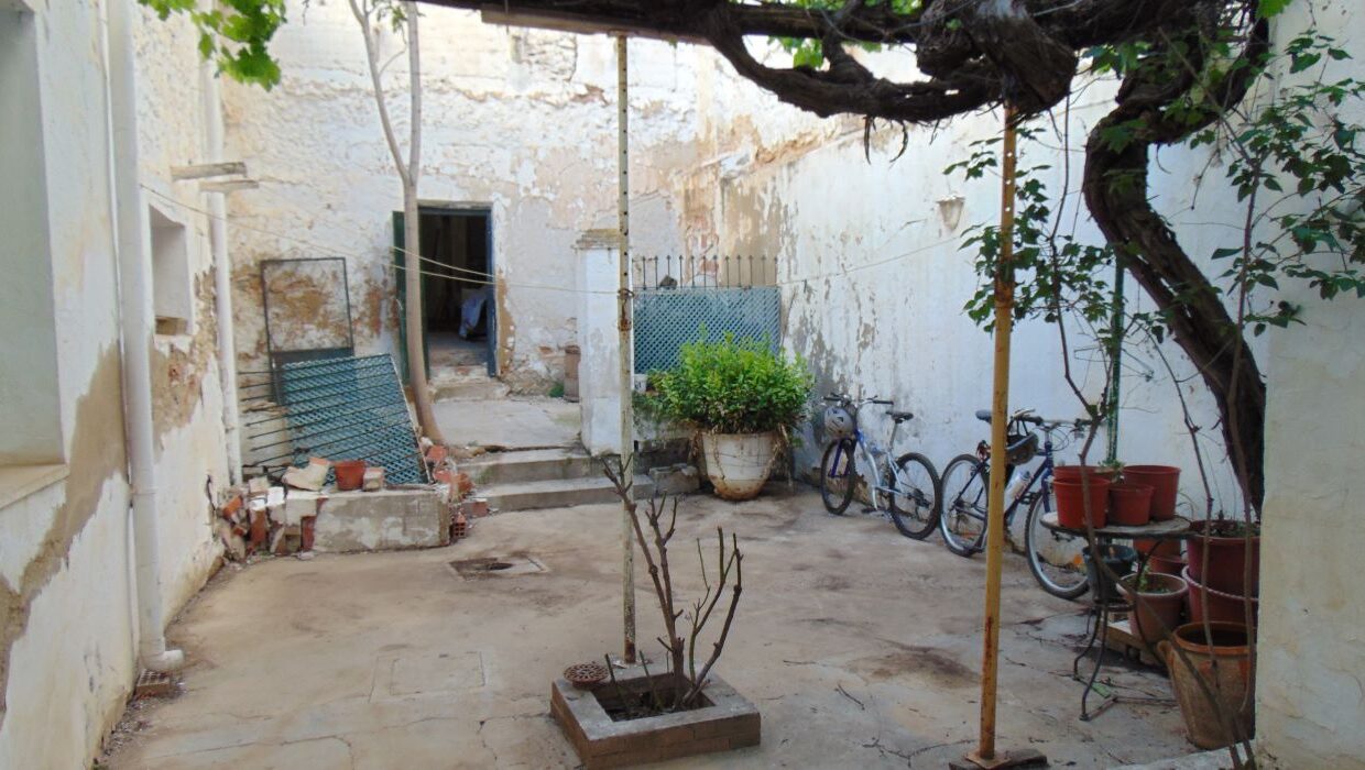 DSC05229