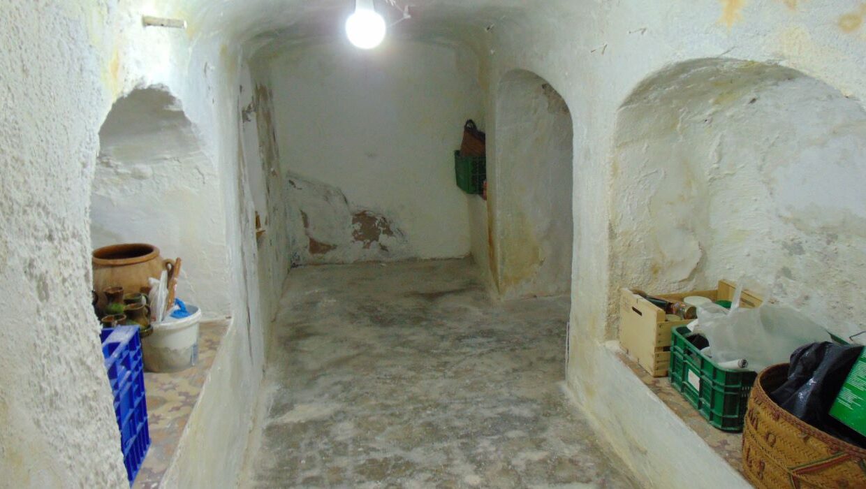 DSC05246