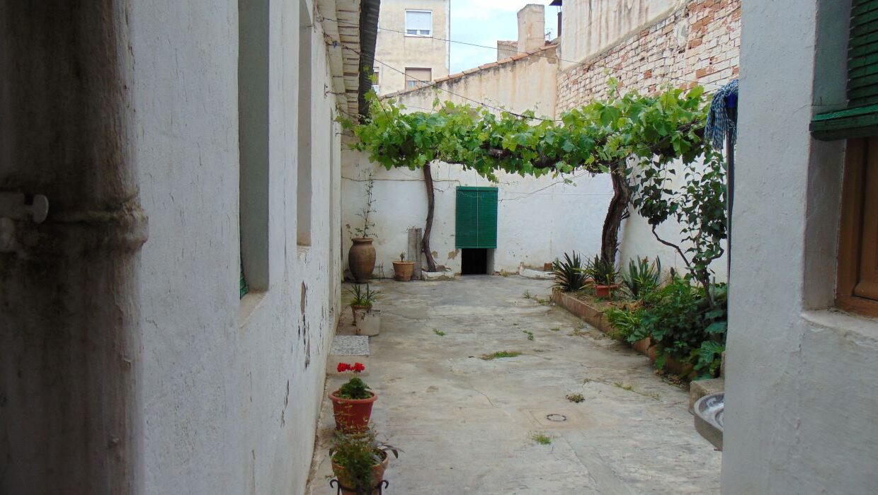 DSC05253