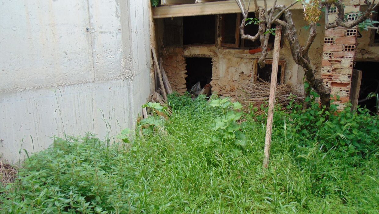 DSC05257